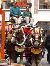 Een echte bierwagen in Utrecht!