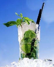 Mojito